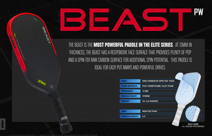 Beast PW Pickleball Paddle 