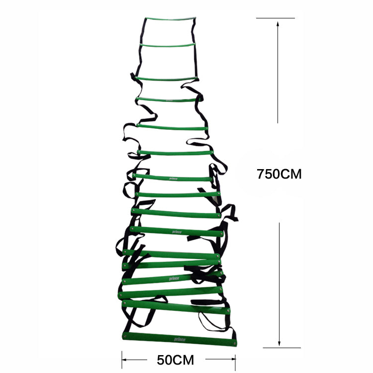 Training Ladder W/Bag